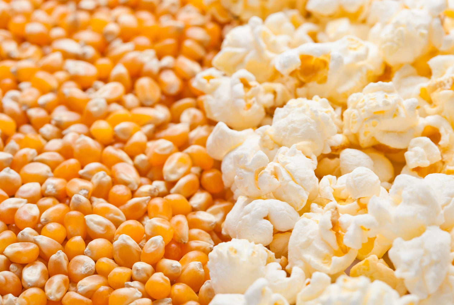 Popcorn