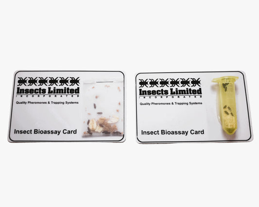 Live Insect Bioassays – Fumigation & Fogging Efficacy Testing