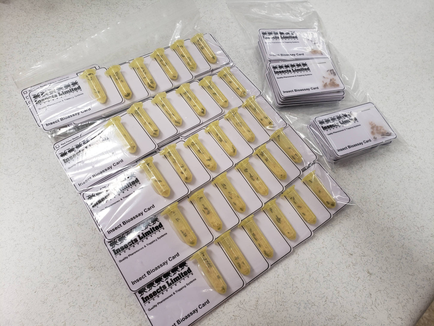 Live Insect Bioassays – Fumigation & Fogging Efficacy Testing