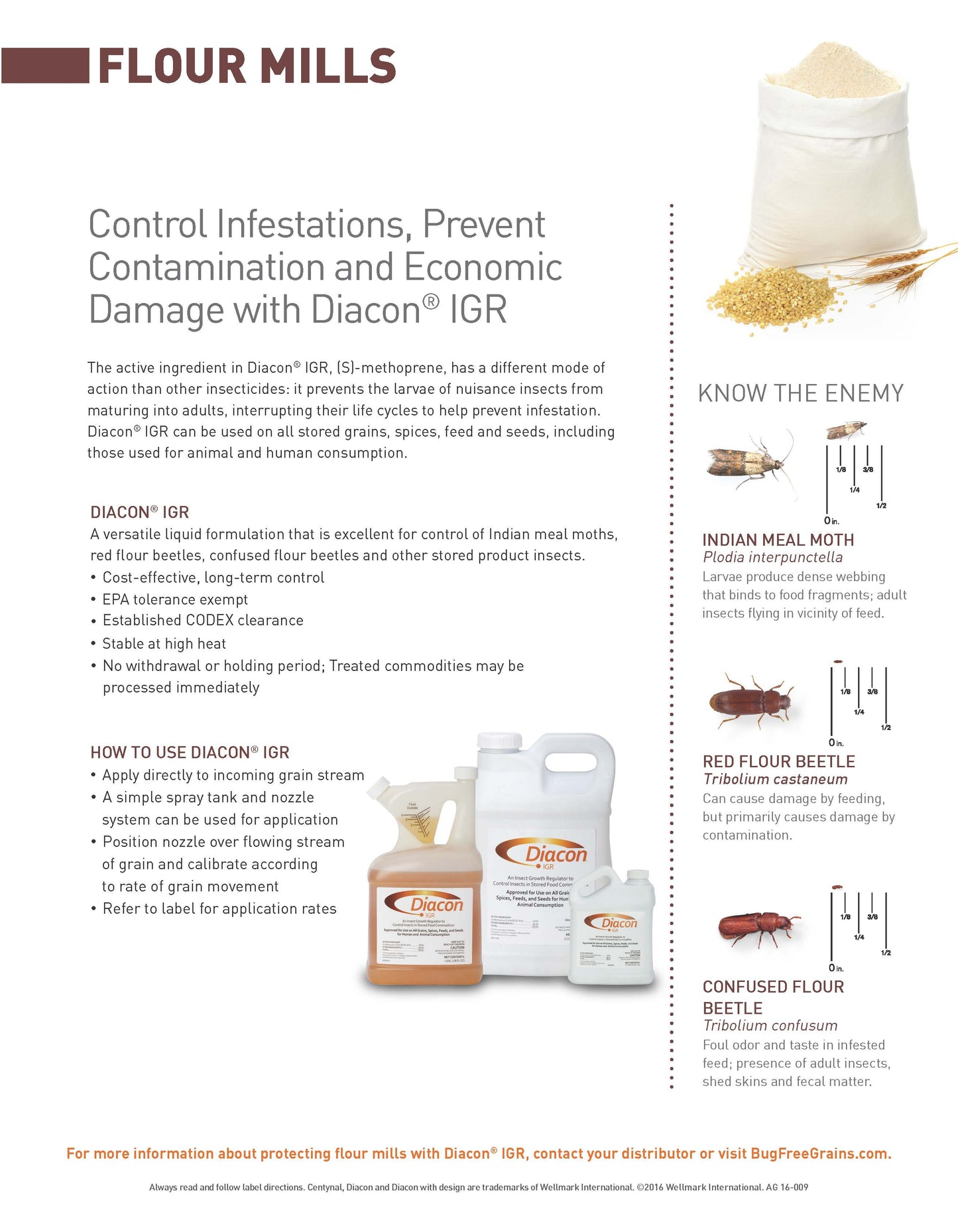 Diacon IGR