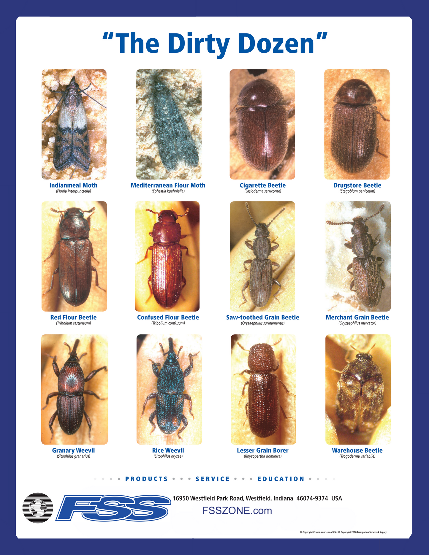 This 18" x 24" Dirty Dozen Poster helps quickly identify common stored product pests with clear illustrations, aiding in contamination prevention in food storage areas.