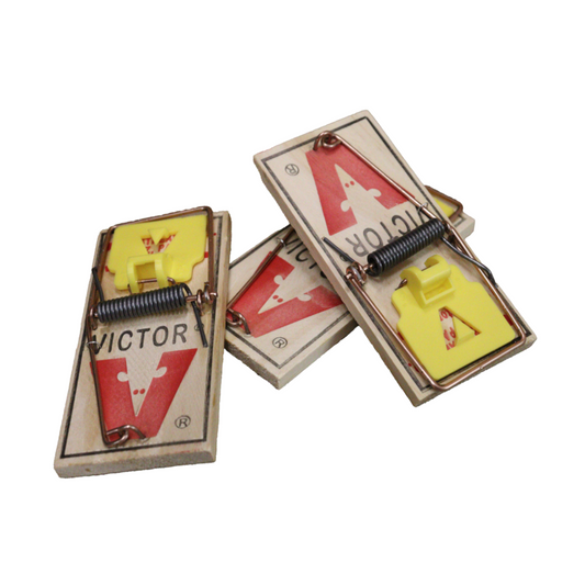 Victor wooden mouse traps for rodent control