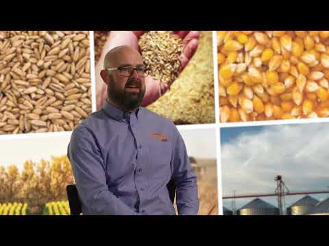 Gravista®-D is a dry grain protectant that keeps your grain free from bugs after harvest.