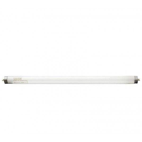 An 18-inch shatterproof bulb, designed for outdoor and commercial use, with a white base and clear glass.