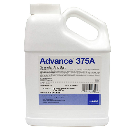 Advance 375A granular ant bait 2 pound jug for ant control