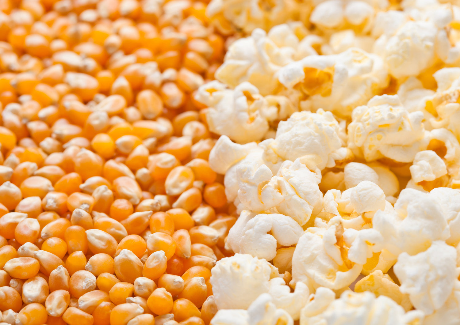 Protect Popcorn