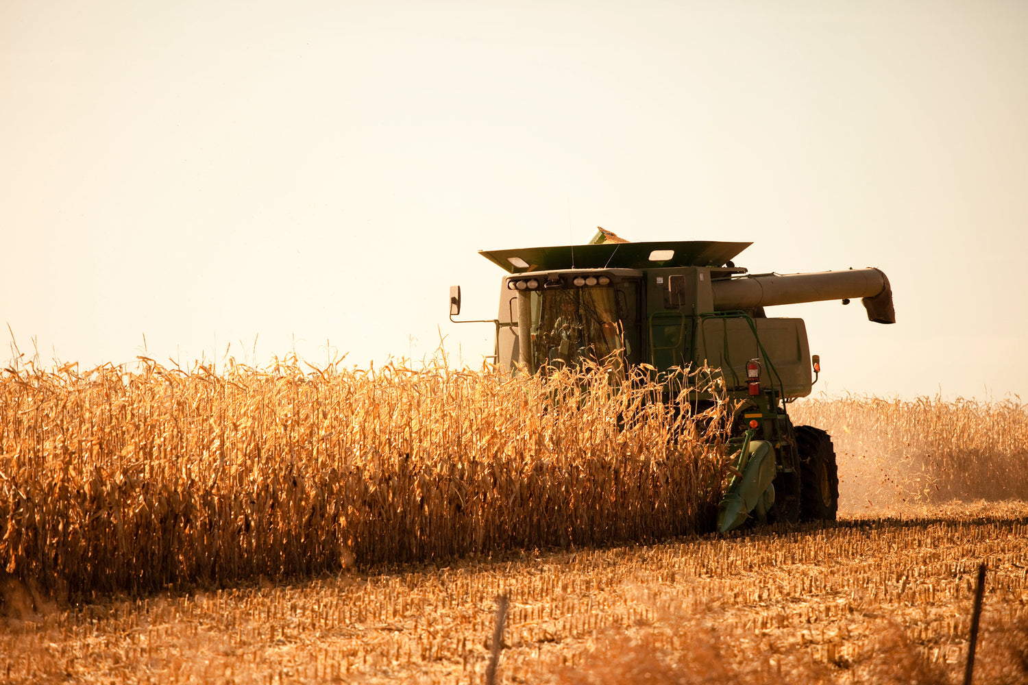 Protect Stored Corn