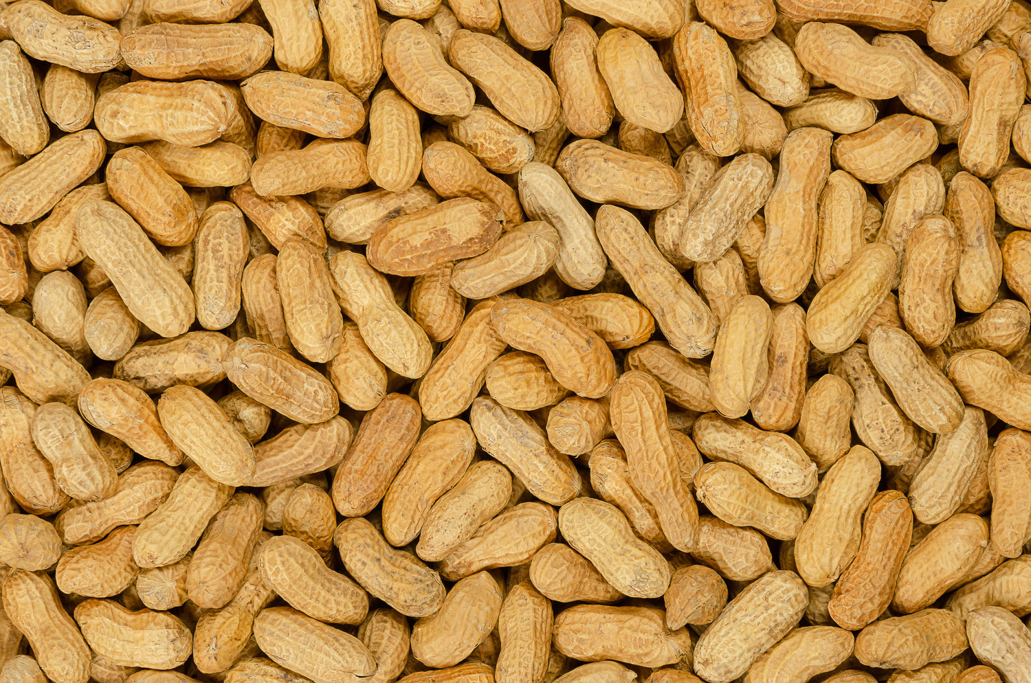 Protect Peanuts