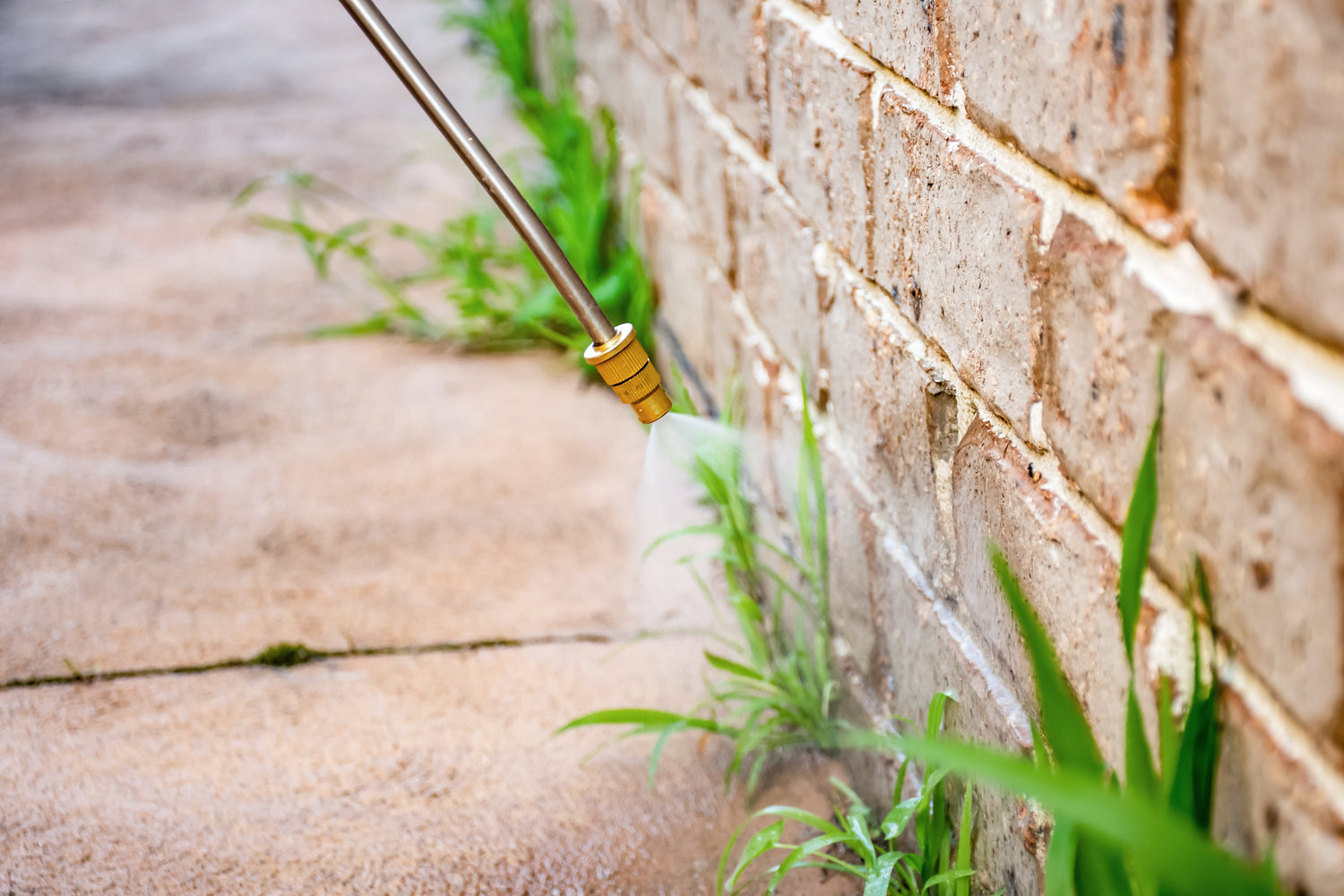 Weed Control