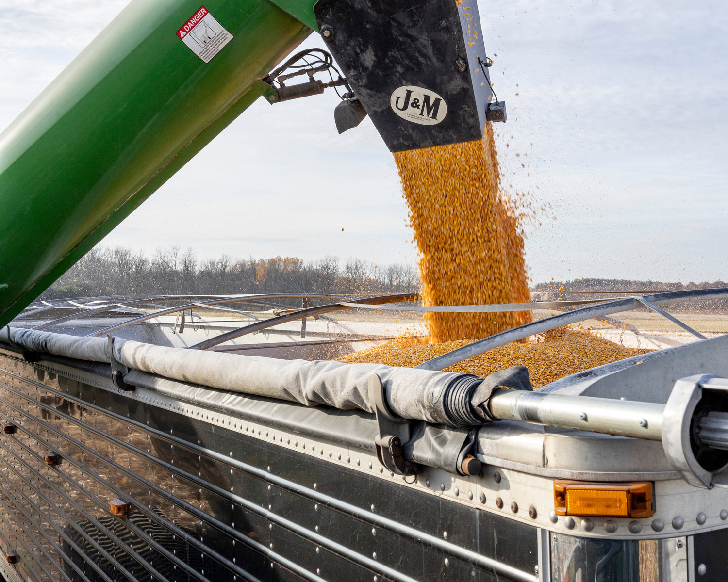Feeling Rejected? Protect Your Grain!