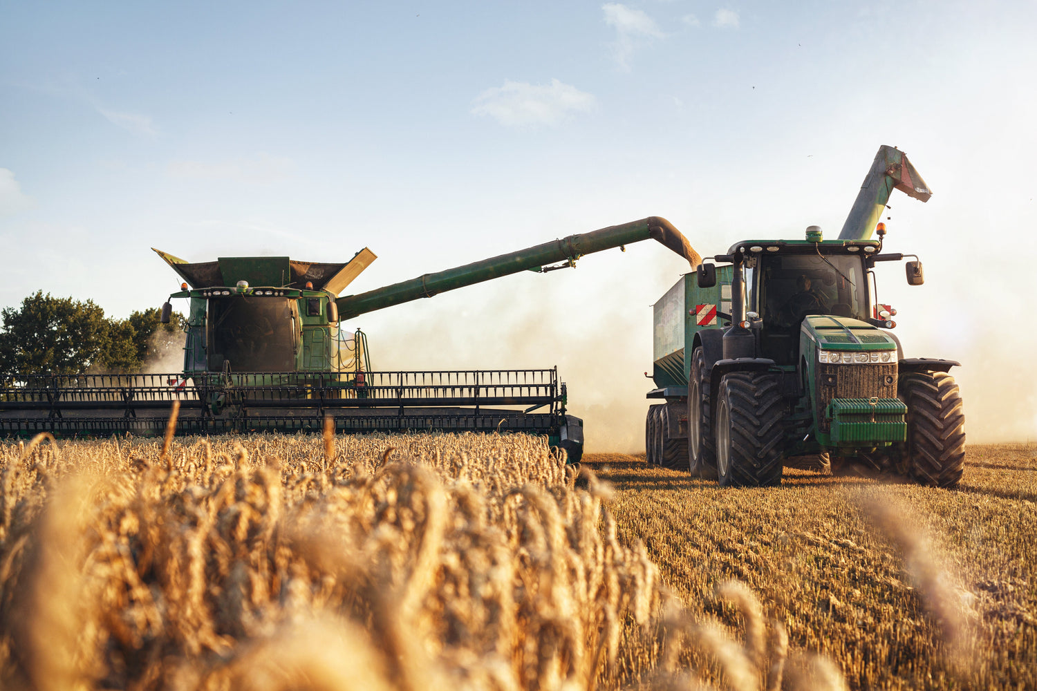 Combine harvester harvesting corn during harvest season for stored grain protection