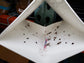 Stored product moths caught on PTL multi-species pheromone trap
