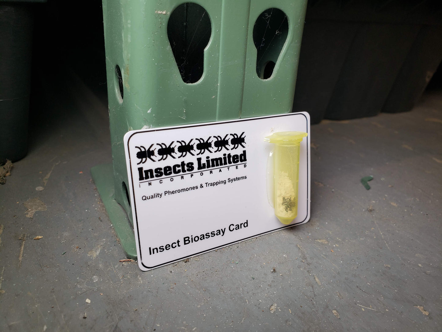 Live Insect Bioassays – Fumigation & Fogging Efficacy Testing