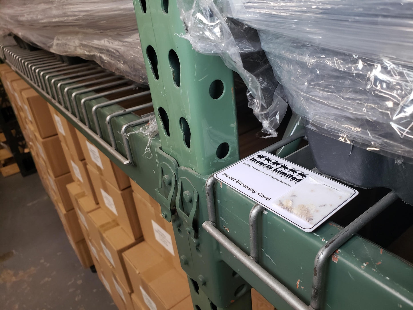 Live Insect Bioassays – Fumigation & Fogging Efficacy Testing