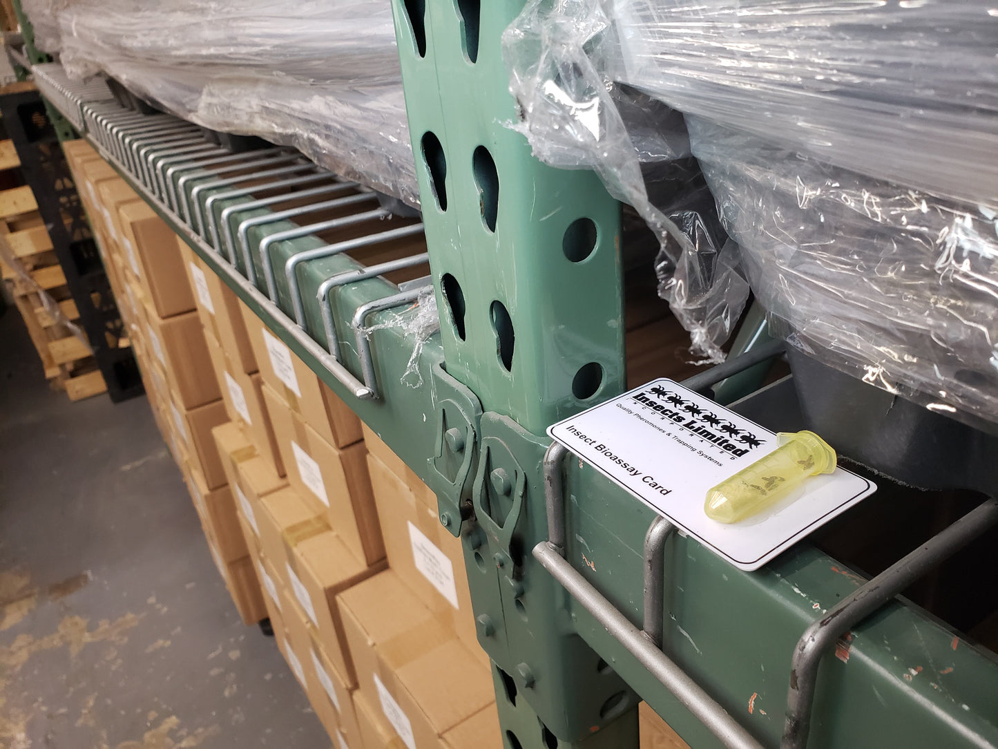 Live Insect Bioassays – Fumigation & Fogging Efficacy Testing