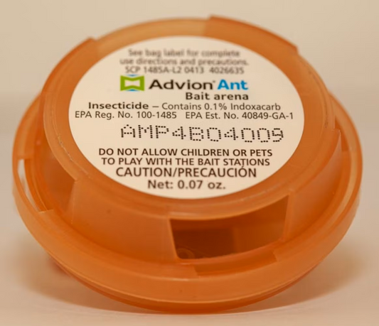Advion ant bait arena station for ant control