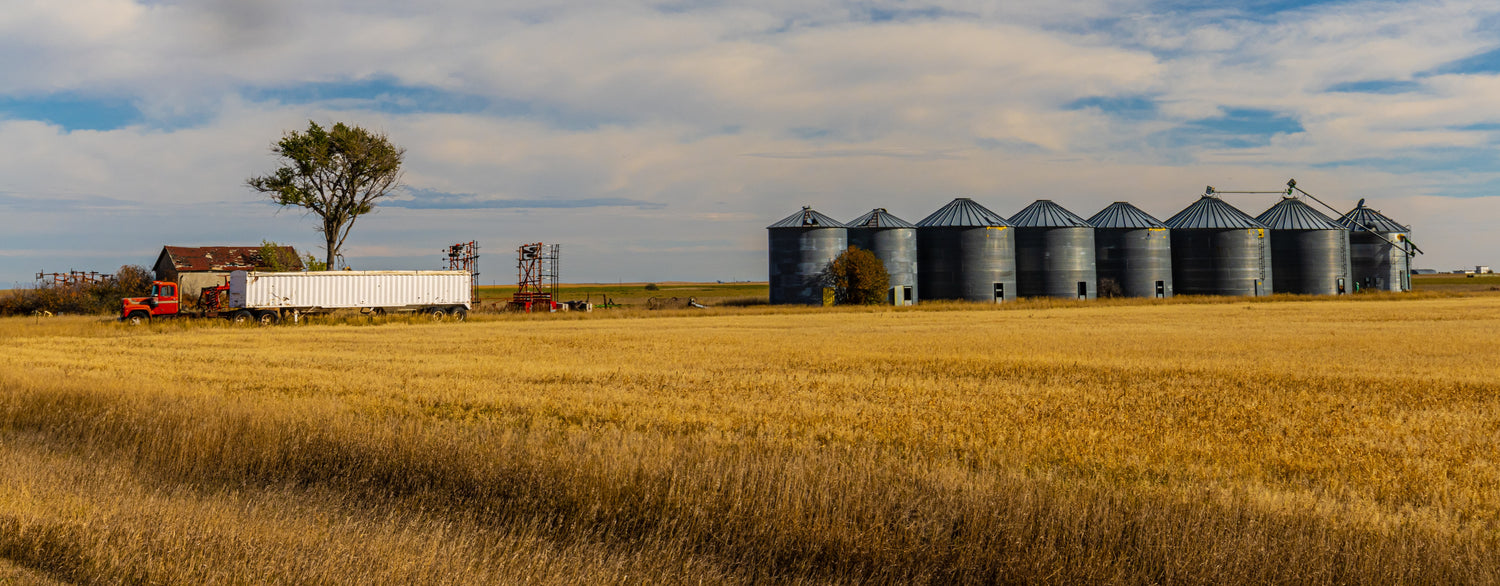 Combine harvesting corn at harvest, FSS Pest Supply grain protectants and fumigants