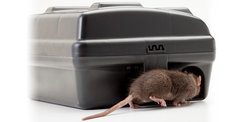 PROTECTA EVO Express Bait Station