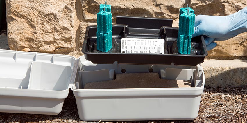 PROTECTA EVO Express Bait Station