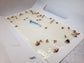 Insects caught on Clothes moth pheromone trap kit with Flat Traps and lures