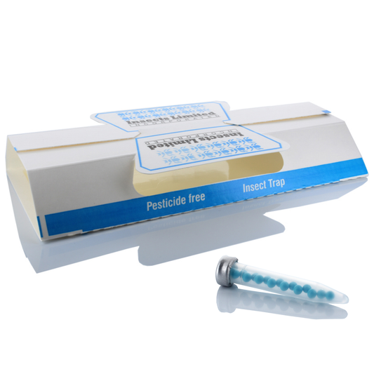 Clothes moth pheromone trap kit with Flat Traps and lures