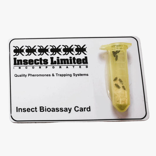 Live Insect Bioassays – Fumigation & Fogging Efficacy Testing