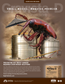 Grain Protectant