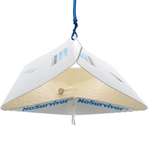 Indian meal moth trap kit with Diamond Traps and pheromone lures