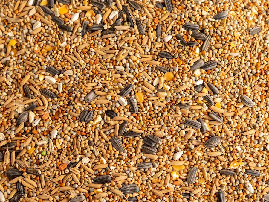 Animal Feed