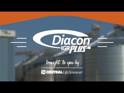 Diacon IGR Plus