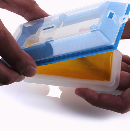 All Beetle Trap Kit W/Gel
