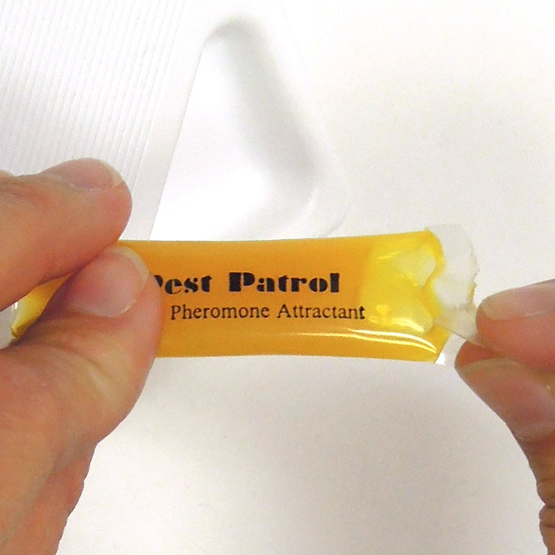 Pantry Patrol gel-pack rebait for stored product pest traps