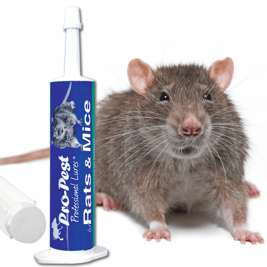 Attract rats and mice fast with this aromatic, food-grade lure. It contains no peanuts, allergens, or harmful chemicals. Ideal for use with traps, even on cautious rodents.