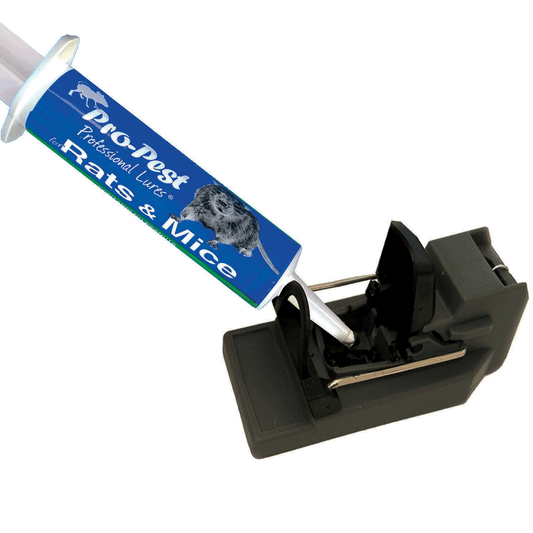 Pro-Pest rat and mouse lure applied to a snap trap